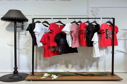 廣州女裝品牌棉麻連衣裙中老年高端女裝品牌她衣柜女裝